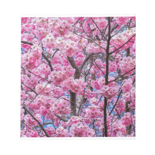 Sakura Blossom Serenity Notitieblok (Voorkant)