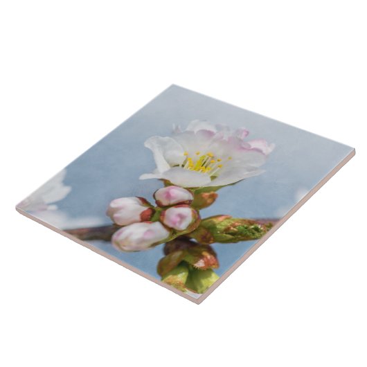 Sakura Blossom Tegeltje (Zijkant)