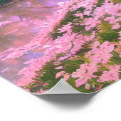 Sakura Bomen op de Serene Riverbank Poster (Hoek)