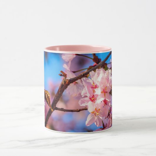 Sakura - boom in roze bloom mok (Midden)