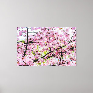 Sakura boom in volle roze bloei in de lente canvas afdruk