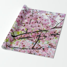 Sakura - boom in volledig roze bloem in Springtime Cadeaupapier
