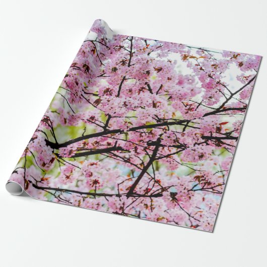 Sakura - boom in volledig roze bloem in Springtime Cadeaupapier (Uitgerold)