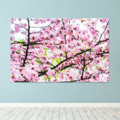 Sakura - boom in volledig roze bloem in Springtime Canvas Afdruk (Insitu (Houten vloer))