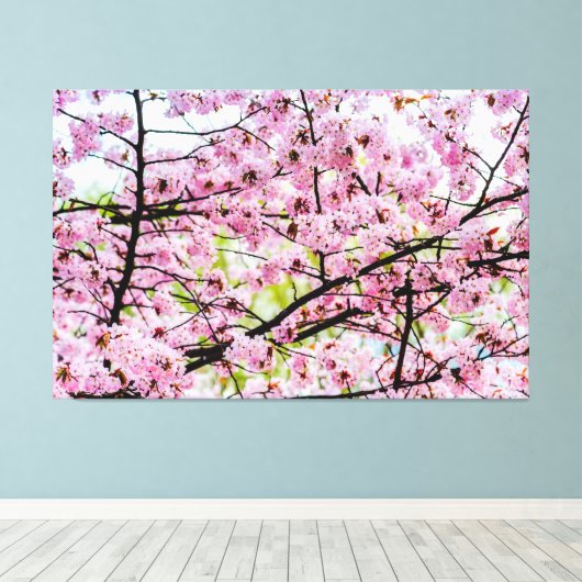 Sakura - boom in volledig roze bloem in Springtime Canvas Afdruk (Insitu (Houten vloer))