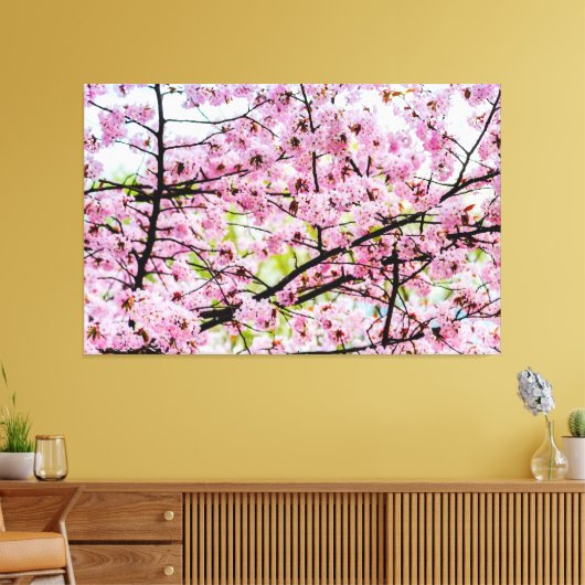 Sakura - boom in volledig roze bloem in Springtime Canvas Afdruk (Insitu (Woonkamer))
