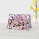 Sakura - boom in volledig roze bloem in Springtime Kaart (Gele Bloem)