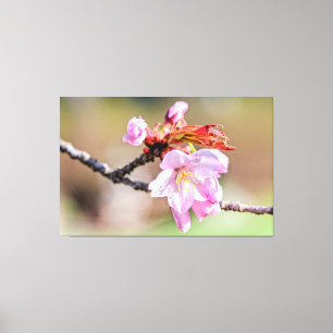 Sakura Buds en een bloem, groen, beige achtergrond Canvas Afdruk