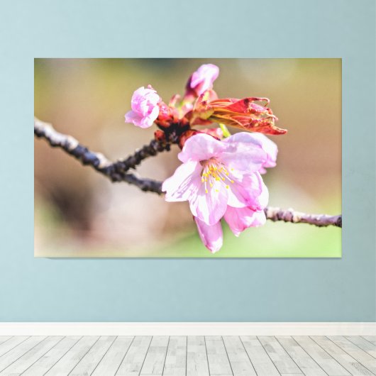 Sakura Buds en een bloem, groen, beige achtergrond Canvas Afdruk (Insitu (Houten vloer))