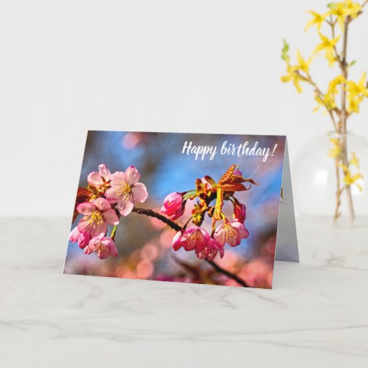 Sakura Buds zijn klaar om in het voorjaar te opene Kaart (Gele Bloem)