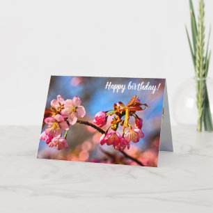 Sakura Buds zijn klaar om in het voorjaar te opene Kaart