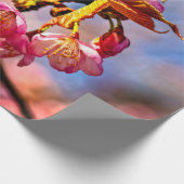 Sakura Buds zijn klaar om te openen en bloom Cadeaupapier (Hoek)