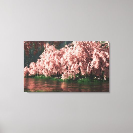 Sakura Canvas Afdruk (Voorkant)