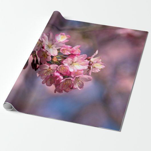 Sakura Cherry bloesems in roze Cadeaupapier (Uitgerold)