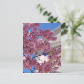 Sakura Cherry Blossom Americana Briefkaart (Staand voorkant)