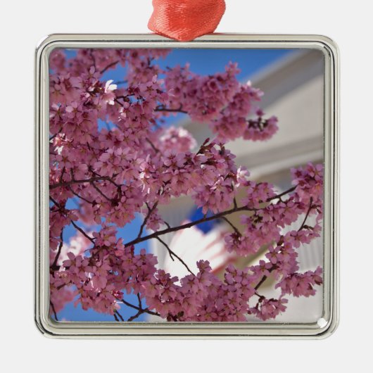 Sakura Cherry Blossom Americana Metalen Ornament (Voorkant)