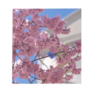 Sakura Cherry Blossom Americana Notitieblok