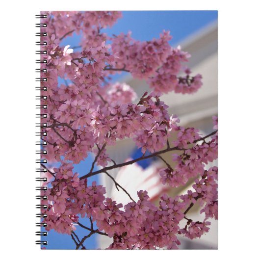 Sakura Cherry Blossom Americana Notitieboek (Voorkant)