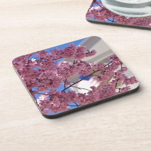 Sakura Cherry Blossom Americana Onderzetter (Linkerzijde)