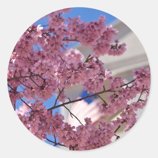 Sakura Cherry Blossom Americana Ronde Sticker (Voorkant)