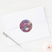 Sakura Cherry Blossom Americana Ronde Sticker (Envelop)
