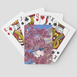Sakura Cherry Blossom Americana Speelkaarten