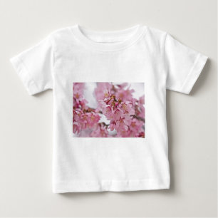 Sakura Cherry Blossom Bleek Pink