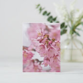 Sakura Cherry Blossom Bleek Pink Briefkaart (Staand voorkant)