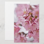 Sakura Cherry Blossom Bleek Pink Briefpapier (Voorkant / Achterkant)