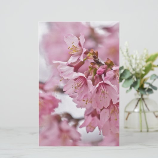 Sakura Cherry Blossom Bleek Pink Briefpapier (Staand voorkant)
