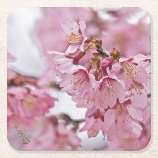 Sakura Cherry Blossom Bleek Pink Kartonnen Onderzetters