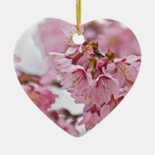 Sakura Cherry Blossom Bleek Pink Keramisch Ornament (Voorkant)