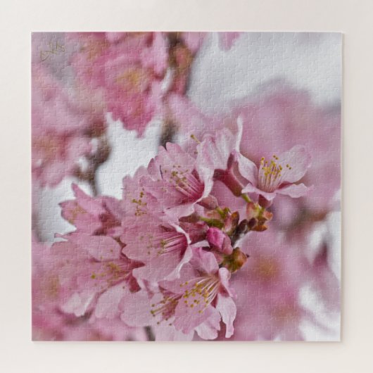 Sakura Cherry Blossom Bleek Pink Legpuzzel (Horizontaal)