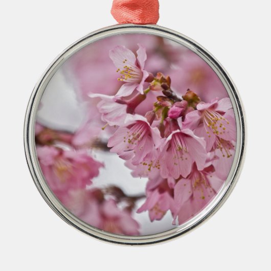 Sakura Cherry Blossom Bleek Pink Metalen Ornament (Voorkant)