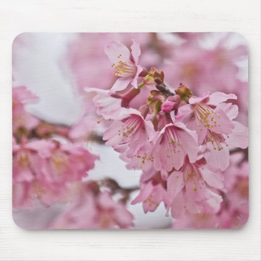Sakura Cherry Blossom Bleek Pink Muismat (Voorkant)