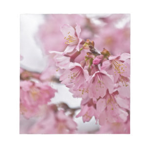 Sakura Cherry Blossom Bleek Pink Notitieblok