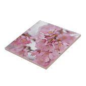 Sakura Cherry Blossom Bleek Pink Tegeltje (Zijkant)