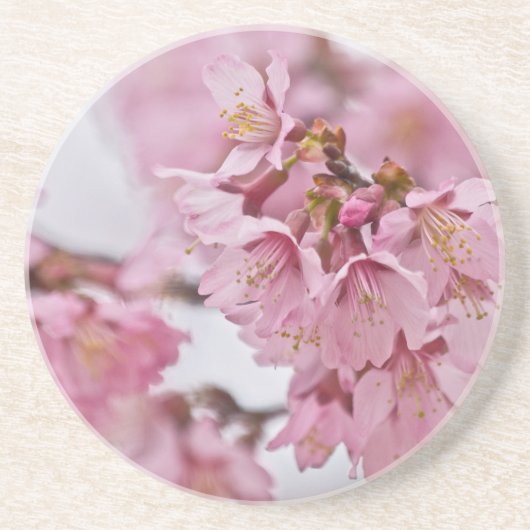 Sakura Cherry Blossom Bleek Pink Zandsteen Onderzetter (Voorkant)