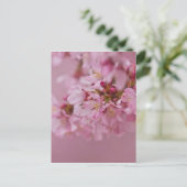 Sakura Cherry Blossom Bleke roze reflecties Briefkaart (Staand voorkant)