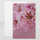 Sakura Cherry Blossom Bleke roze reflecties Briefpapier (Voorkant / Achterkant)