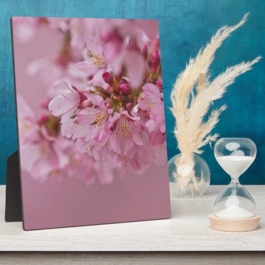 Sakura Cherry Blossom Bleke roze reflecties Fotoplaat (Zijkant)