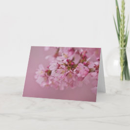 Sakura Cherry Blossom Bleke roze reflecties Kaart