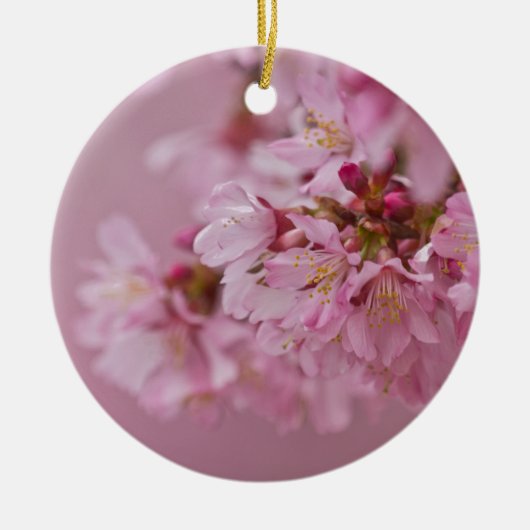 Sakura Cherry Blossom Bleke roze reflecties Keramisch Ornament (Voorkant)