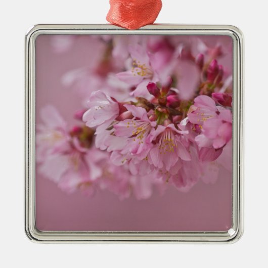 Sakura Cherry Blossom Bleke roze reflecties Metalen Ornament (Voorkant)