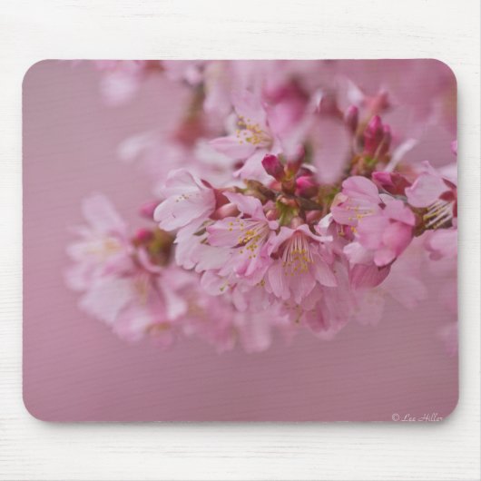 Sakura Cherry Blossom Bleke roze reflecties Muismat (Voorkant)