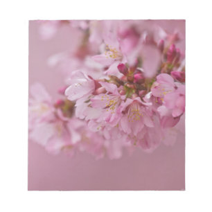 Sakura Cherry Blossom Bleke roze reflecties Notitieblok