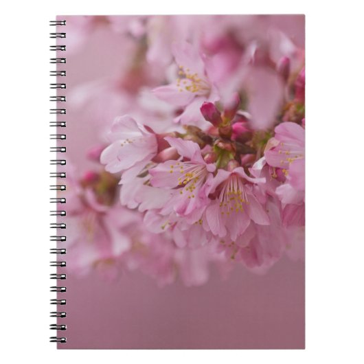 Sakura Cherry Blossom Bleke roze reflecties Notitieboek (Voorkant)