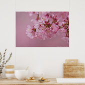 Sakura Cherry Blossom Bleke roze reflecties Poster (Keuken)