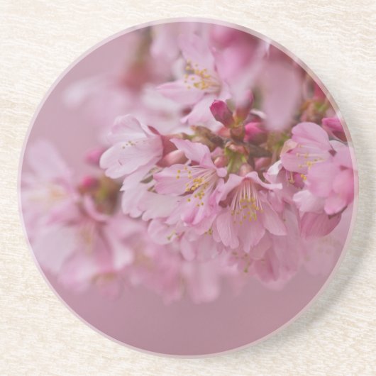 Sakura Cherry Blossom Bleke roze reflecties Zandsteen Onderzetter (Voorkant)