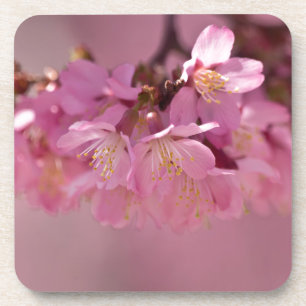 Sakura Cherry Blossom Delicate Pink Bouquet Bier Onderzetter